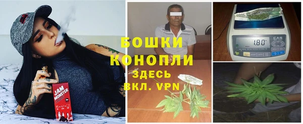 прущие грибы Кодинск