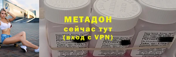 прущие грибы Кодинск
