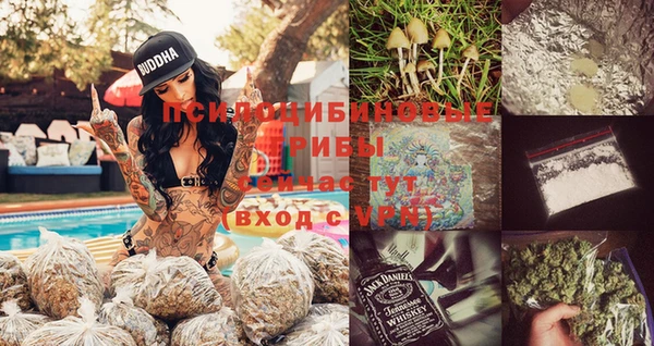 синтетический гашиш Козловка