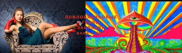 кокаин премиум Козельск
