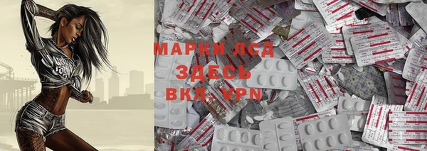 прущие грибы Кодинск