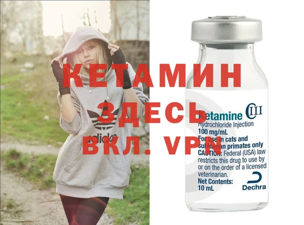 шишки Богородск