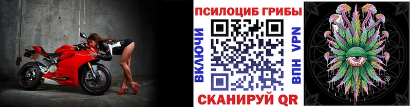 Псилоцибиновые грибы мухоморы  наркота  Поворино 